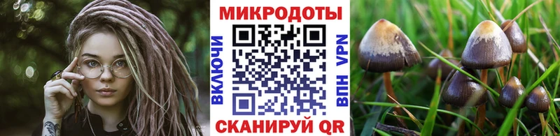 Псилоцибиновые грибы MAGIC MUSHROOMS  купить  цена  Заводоуковск 