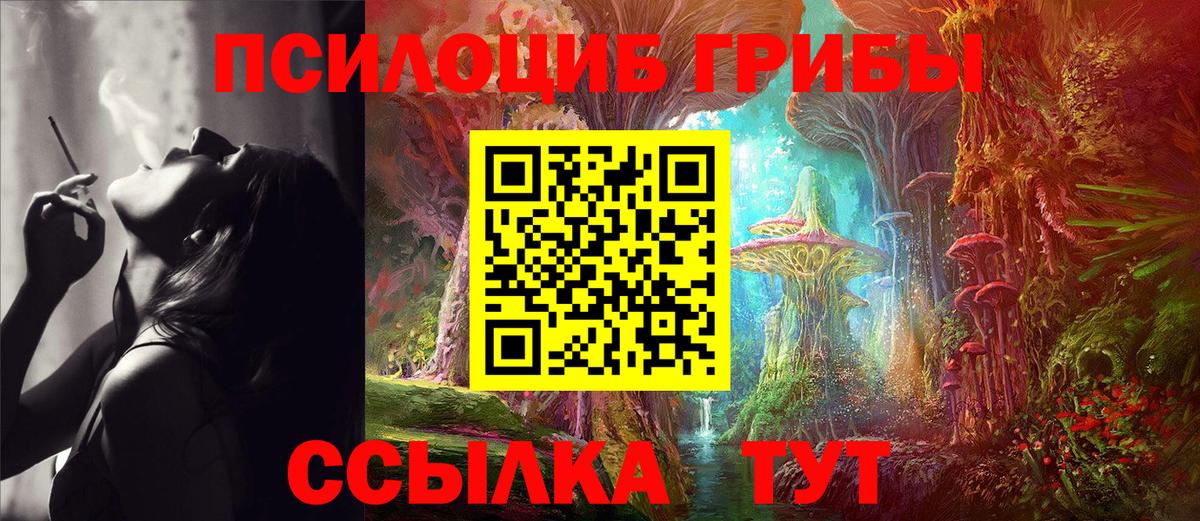 купить наркотик  Вход с VPN  Заводоуковск  Псилоцибиновые грибы GOLDEN TEACHER 