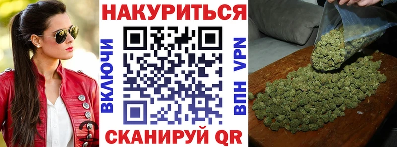 mega tor  Заводоуковск  Каннабис сатива 