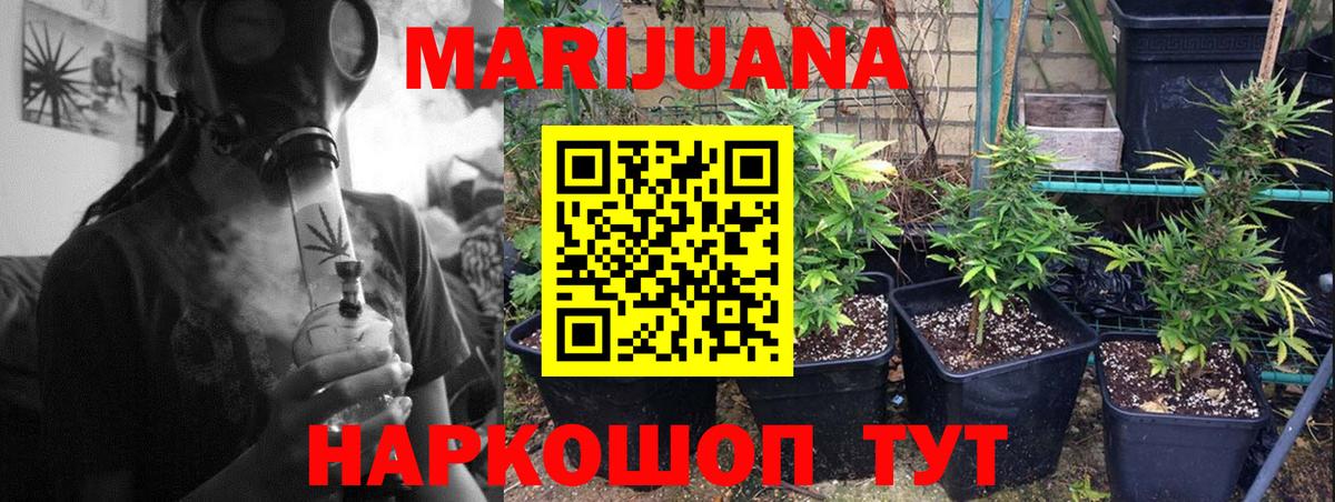 Канабис Bruce Banner  Бошки Шишки White Widow  Шишки марихуана Amnesia  Вход с VPN  Заводоуковск  Бошки Шишки Ganja 